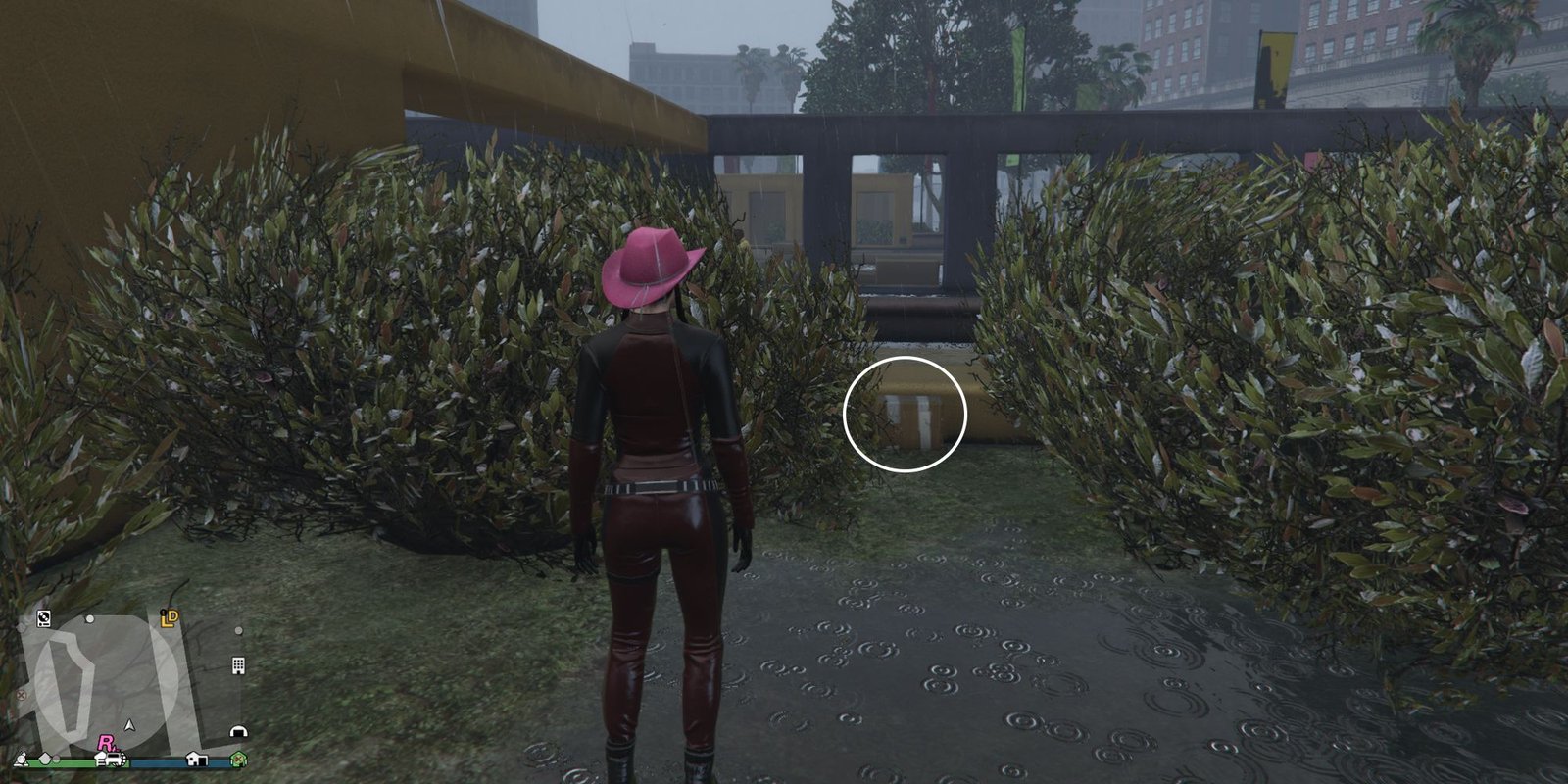 Image depicts a female player in GTA Online at Legion Square stood with some bushes either side of them. These bushes are overlooked by large yellow walls, and some grey structures in the background. G's Cache is on the ground in between the two bushes.