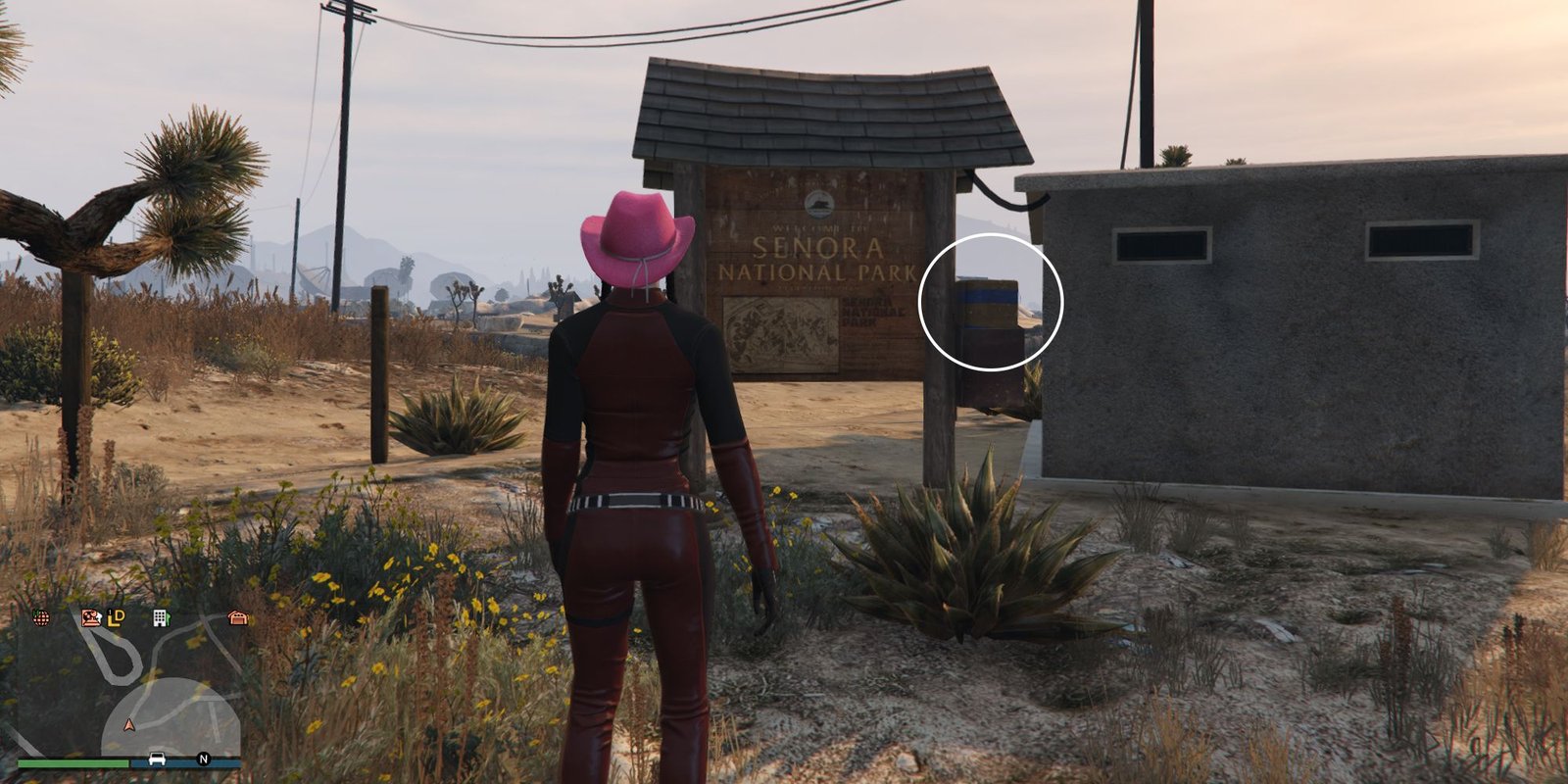 Image depicts a female character in GTA Online at Senora National Park, stood in front of a wooden sign with a map of the park area, and a grey maintenance building. On the right-hand side of the sign is a small box, and G's Cache is sat on top of this.