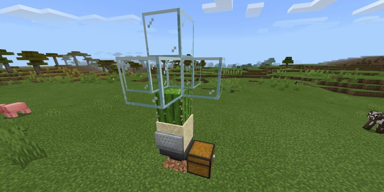 Minecraft cactus farm Automatic