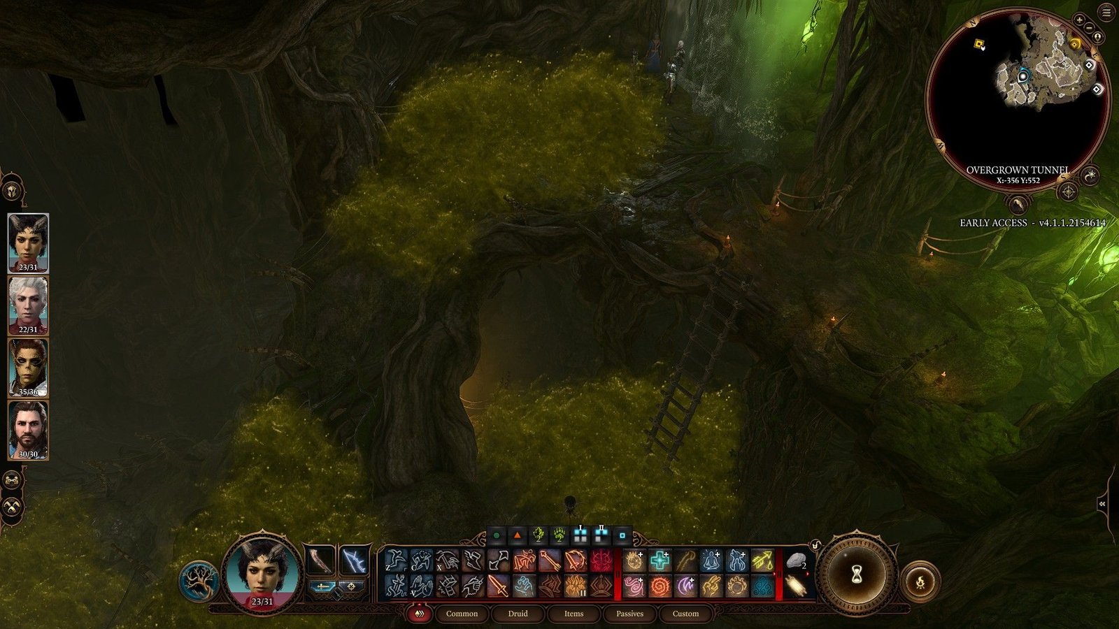 Baldur's Gate 3: Poisonous Fog In Auntie Ethel's Lair