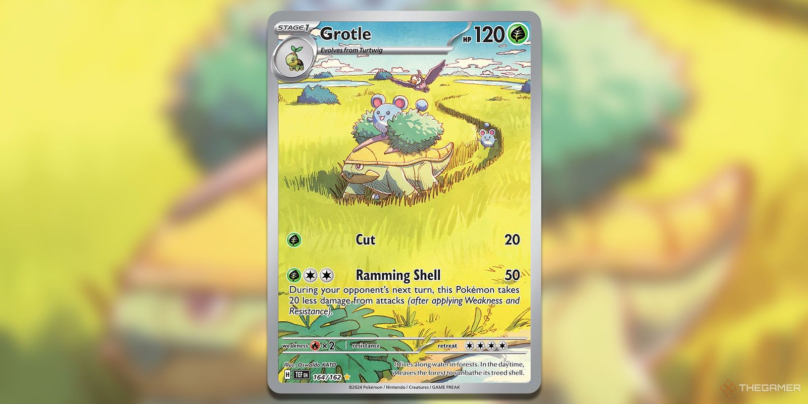Grotle full art Pokemon TCG card.