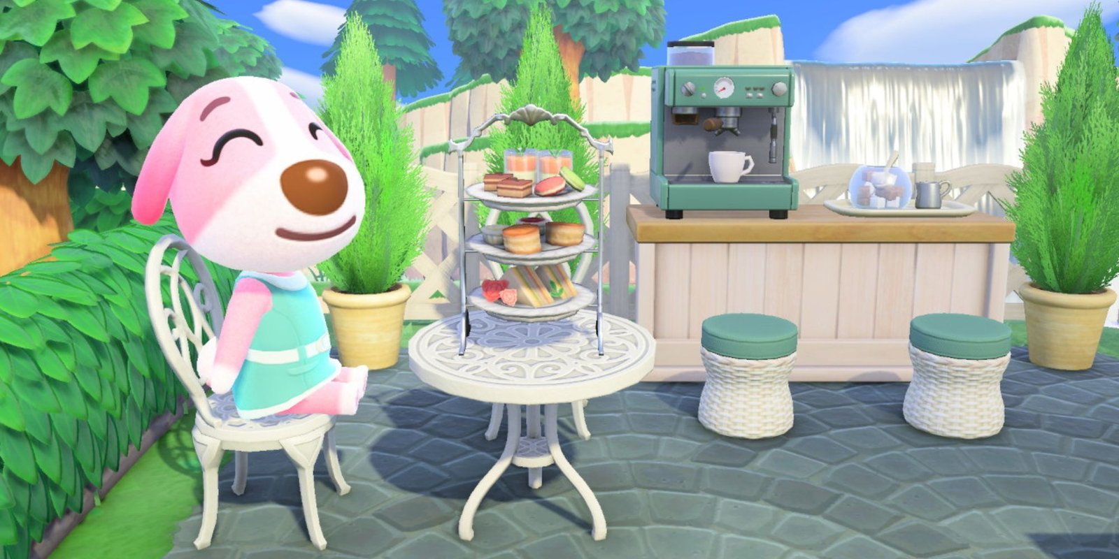 Cookie sits outside beside a table with treats on it.