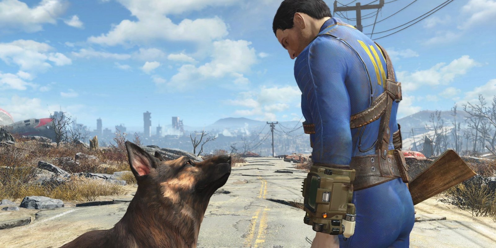 the sole survivor and dogmeat