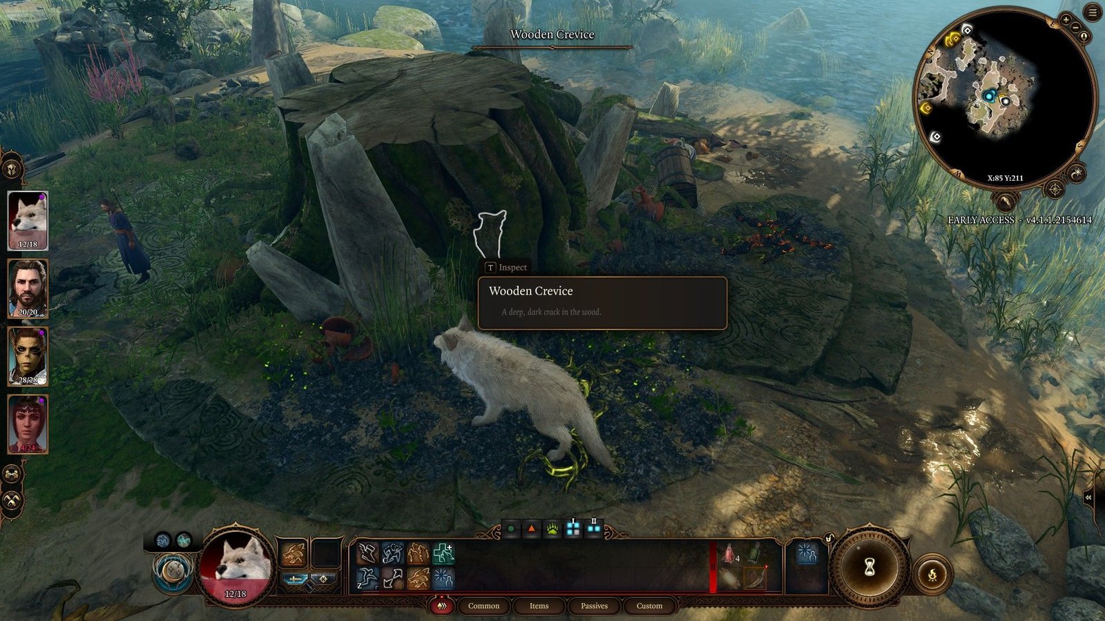 Druid Wild Shaped As Wolf Finds Wooden Crevice In Tree Stump And Kagha Letter