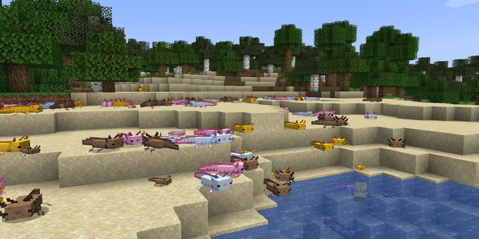 A Minecraft beach filled with axolotl in the sand. 