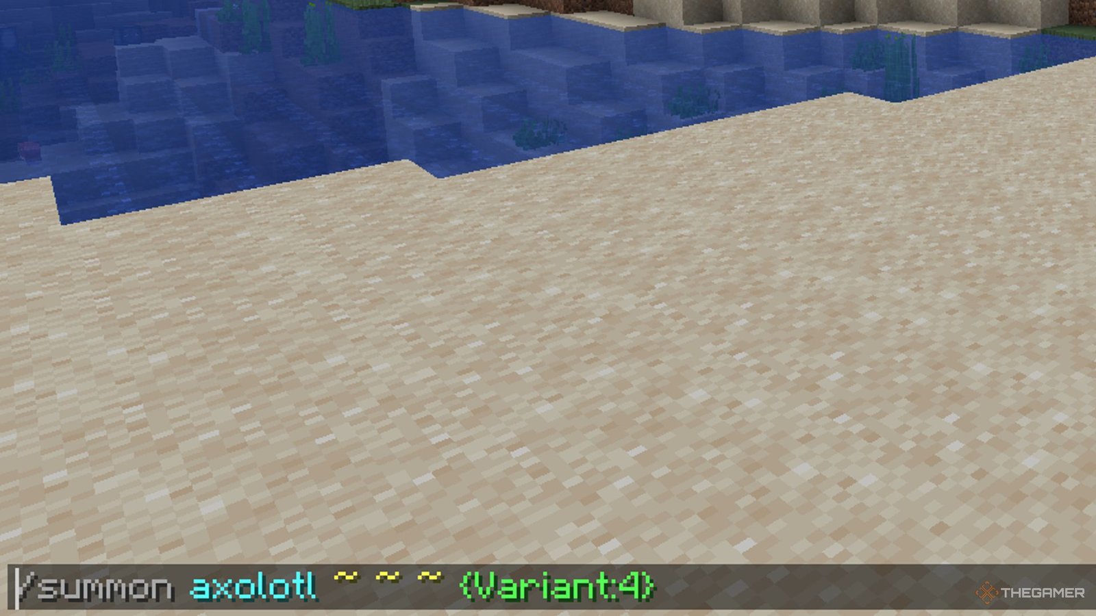 Zoomed in image of player typing in a command code to spawn a blue axolotl. 