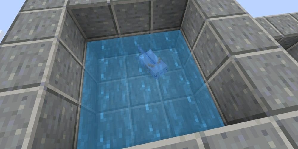 A blue axolotl in a 3x3 hole. 