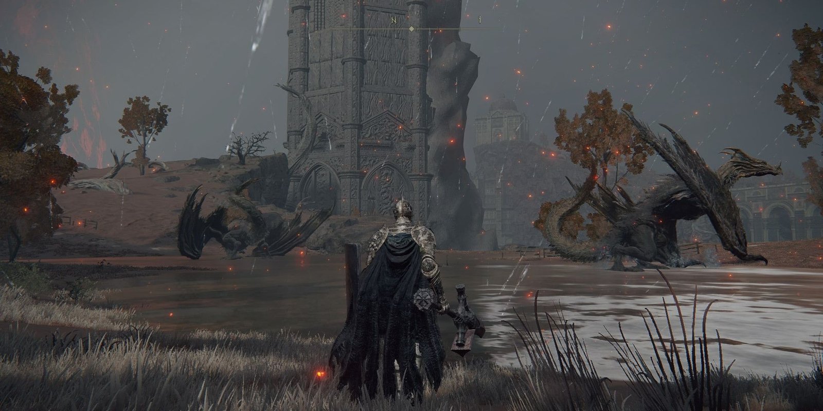 Two Lesser Dragons in the Dragonbarrow region of Caelid in Elden Ring
