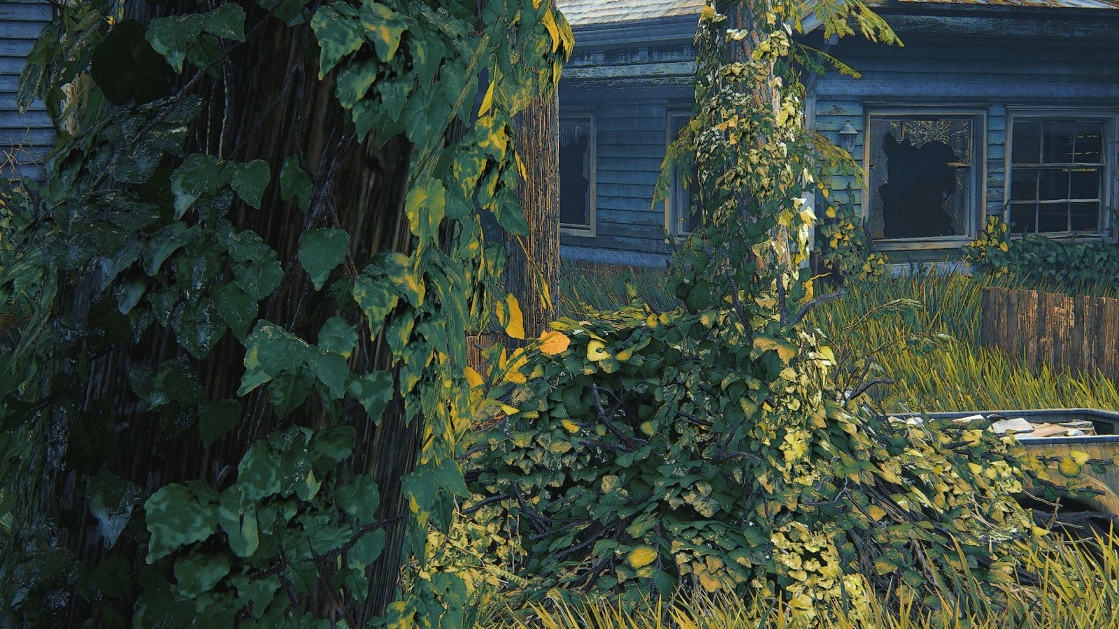 Grassy Field The Last Of Us Part 2