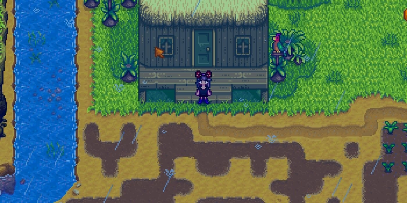 Island farmhouse with plowed sand in Stardew Valley