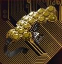 Cyberpunk 2077 Peripheral Inverse