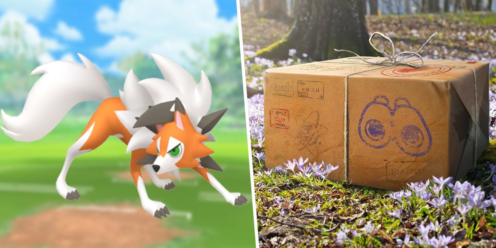 Image of Dusk Form Lycanroc split with an image of a Pokemon Go Bundle