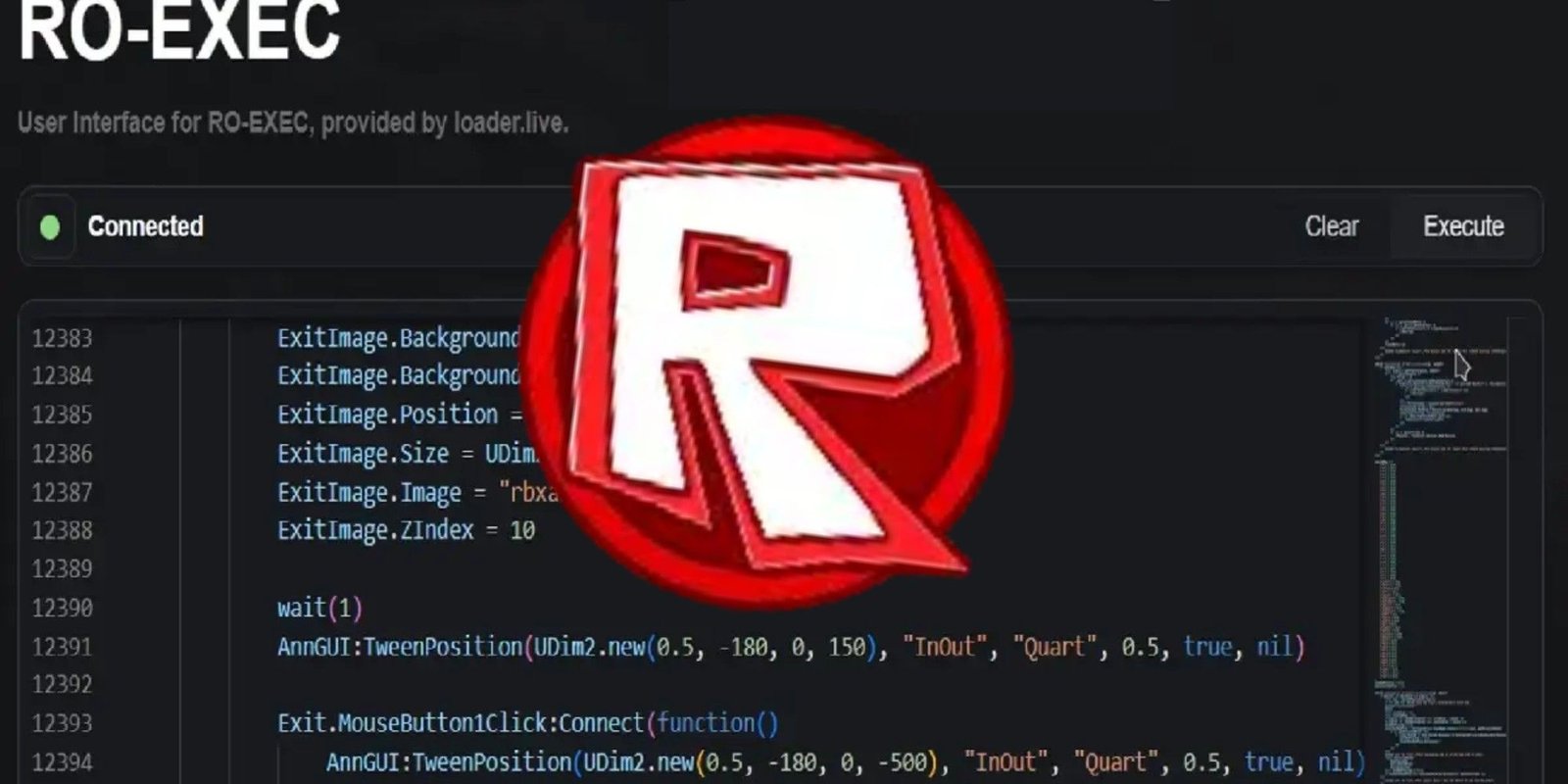 Ro-Exec Logo and background