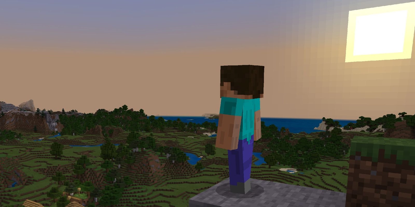 minecraft steve looking out to world