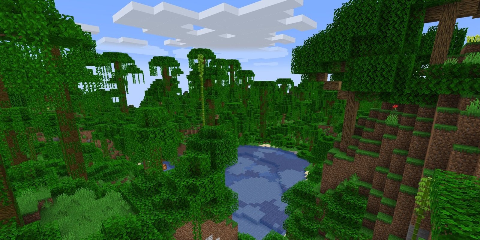 Minecraft Jungle Biome
