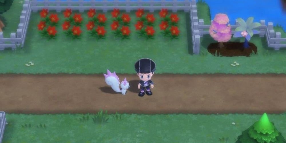 Pokemon Brilliant Diamond and Shining Pearl BDSP Shiny Pachirisu following