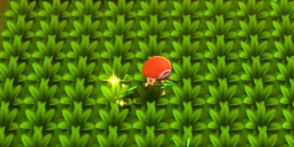 Pokemon Brilliant Diamond and Shining Pearl Pokeradar Shiny Grass