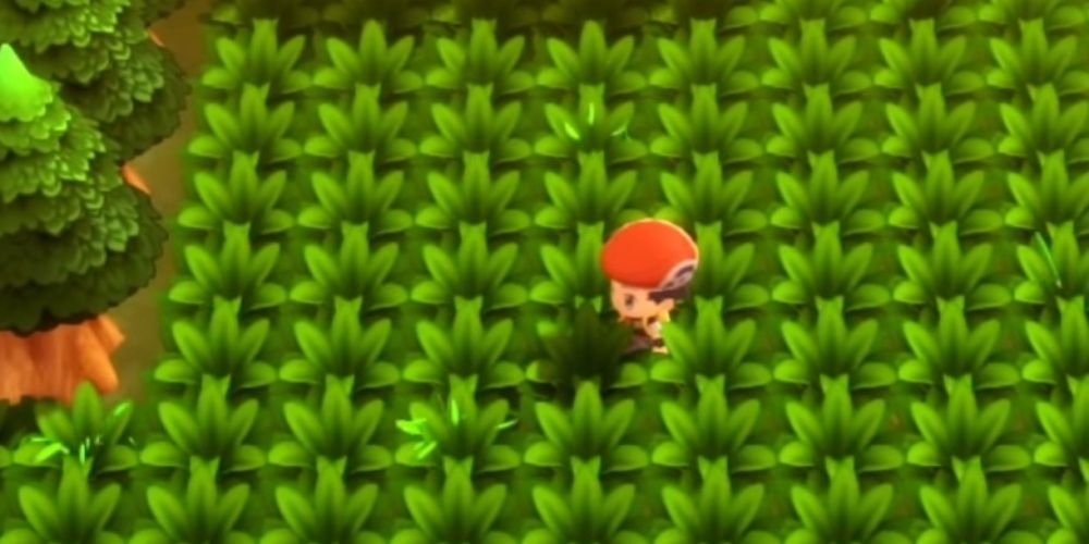 Pokemon Brilliant Diamond and Shining Pearl Pokeradar Shaking Grass