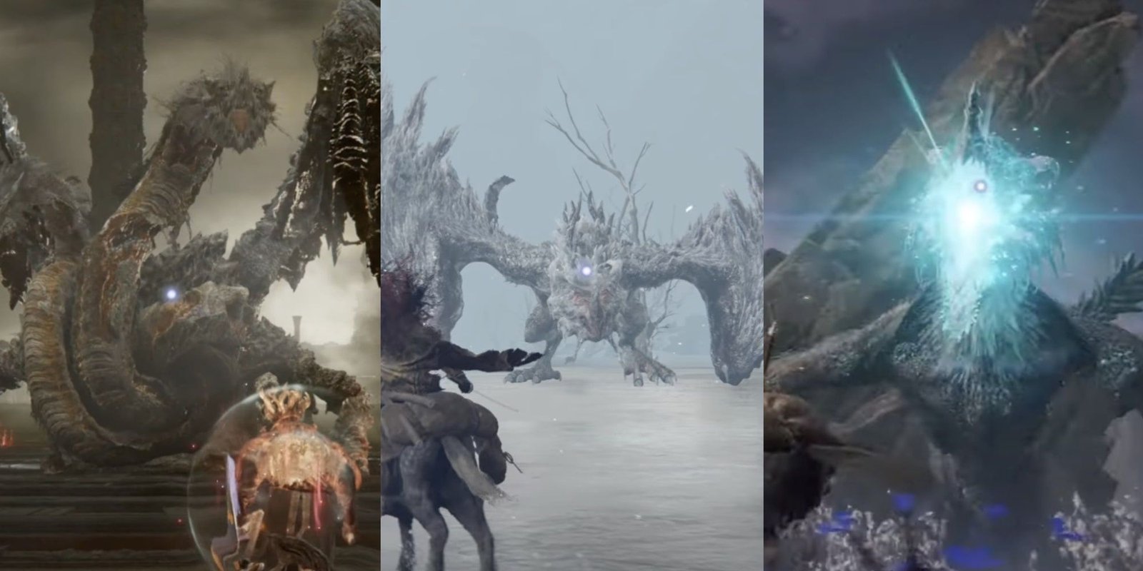 Dragonlord Placidusax towers over the Tarnished. Borealis, The Freezing Fog emerges from hiding. Glintstone Dragon Smarag prepares a deadly Glintstone breath.
