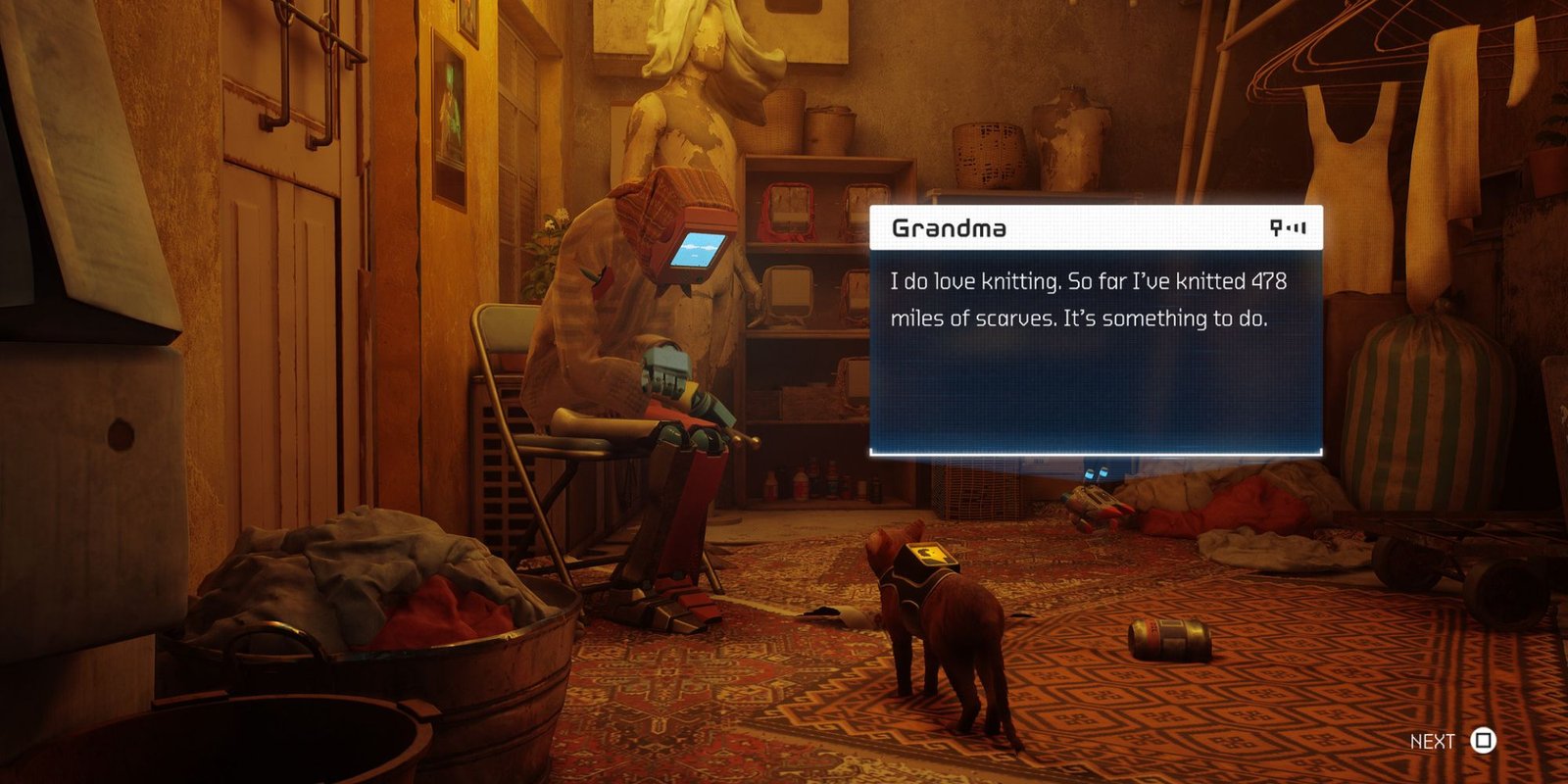 Stray cat speaking to grandma