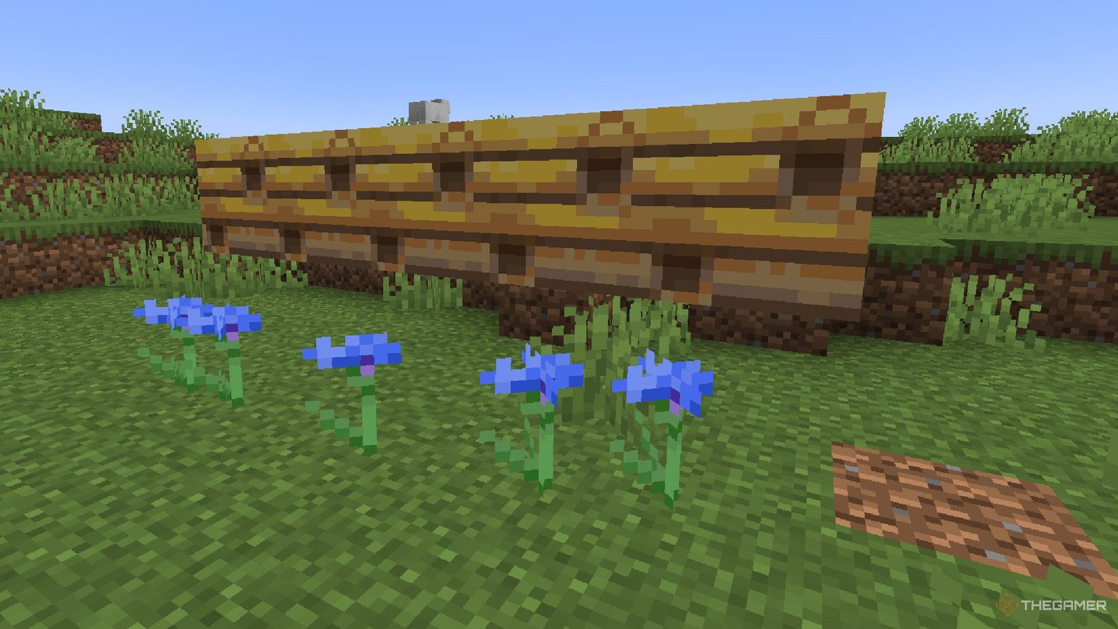Beehives placed in a line with blue flowers placed below in Minecraft.