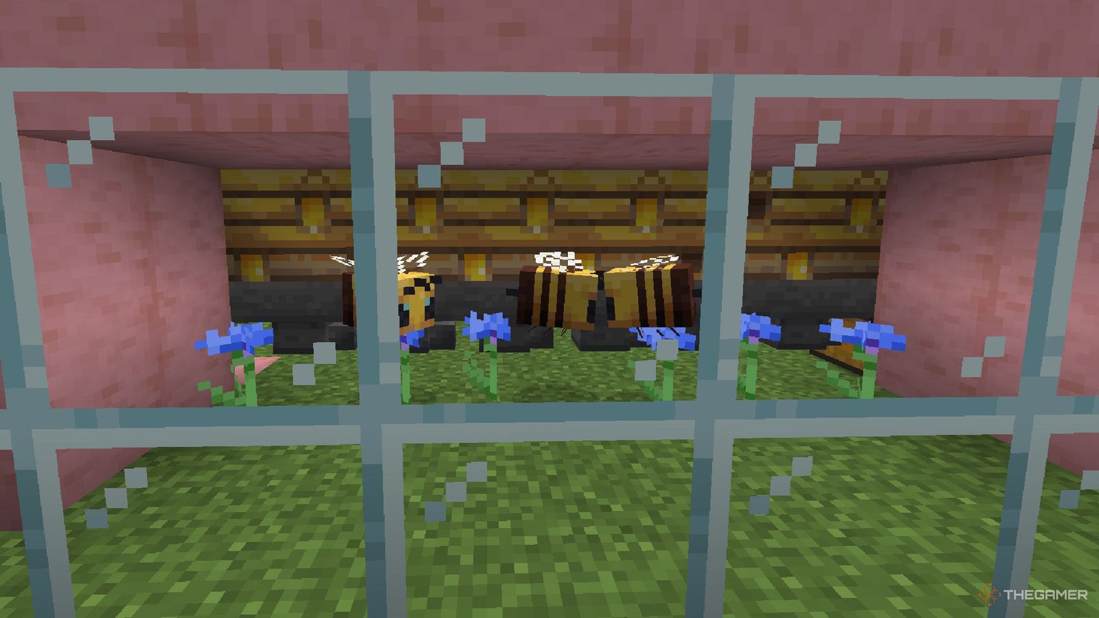 Minecraft bees flying within a bee farm.
