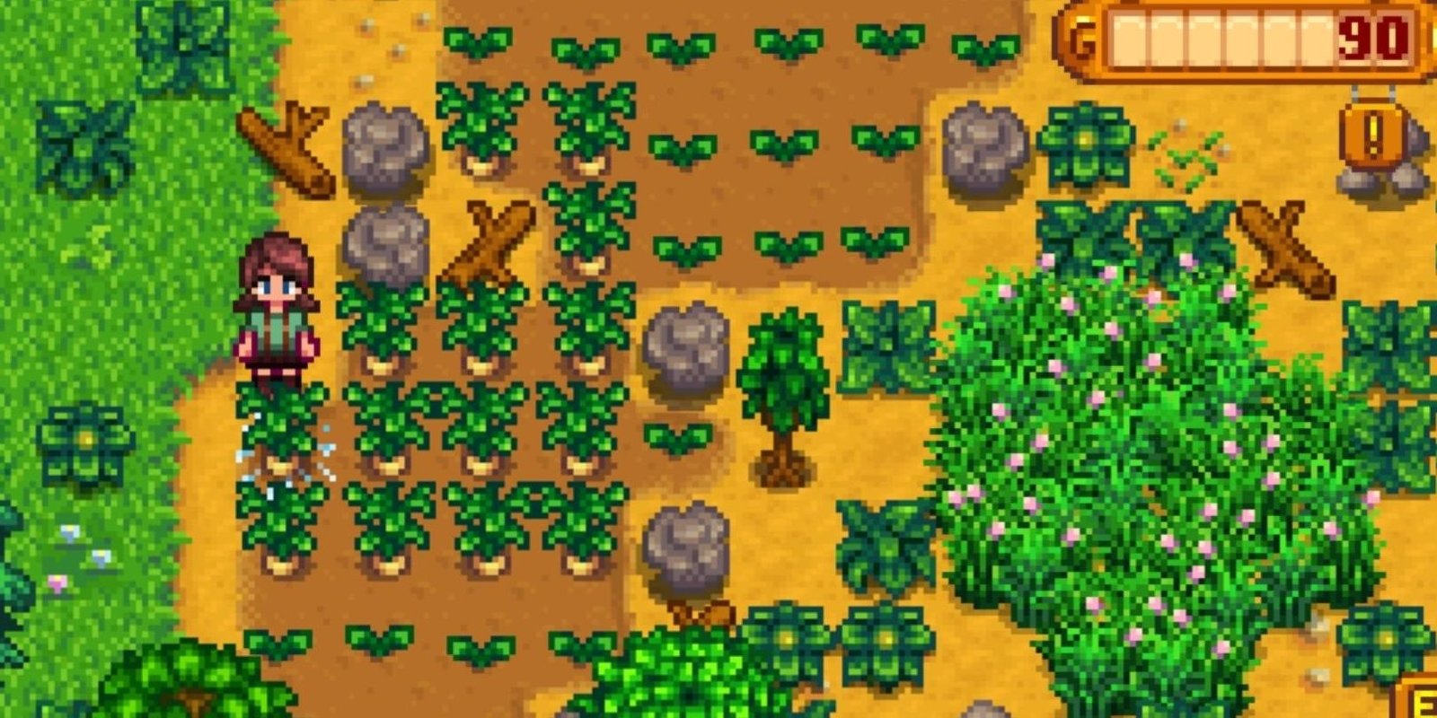 Screenshot of player harvesting turnips from farm in Stardew Valley