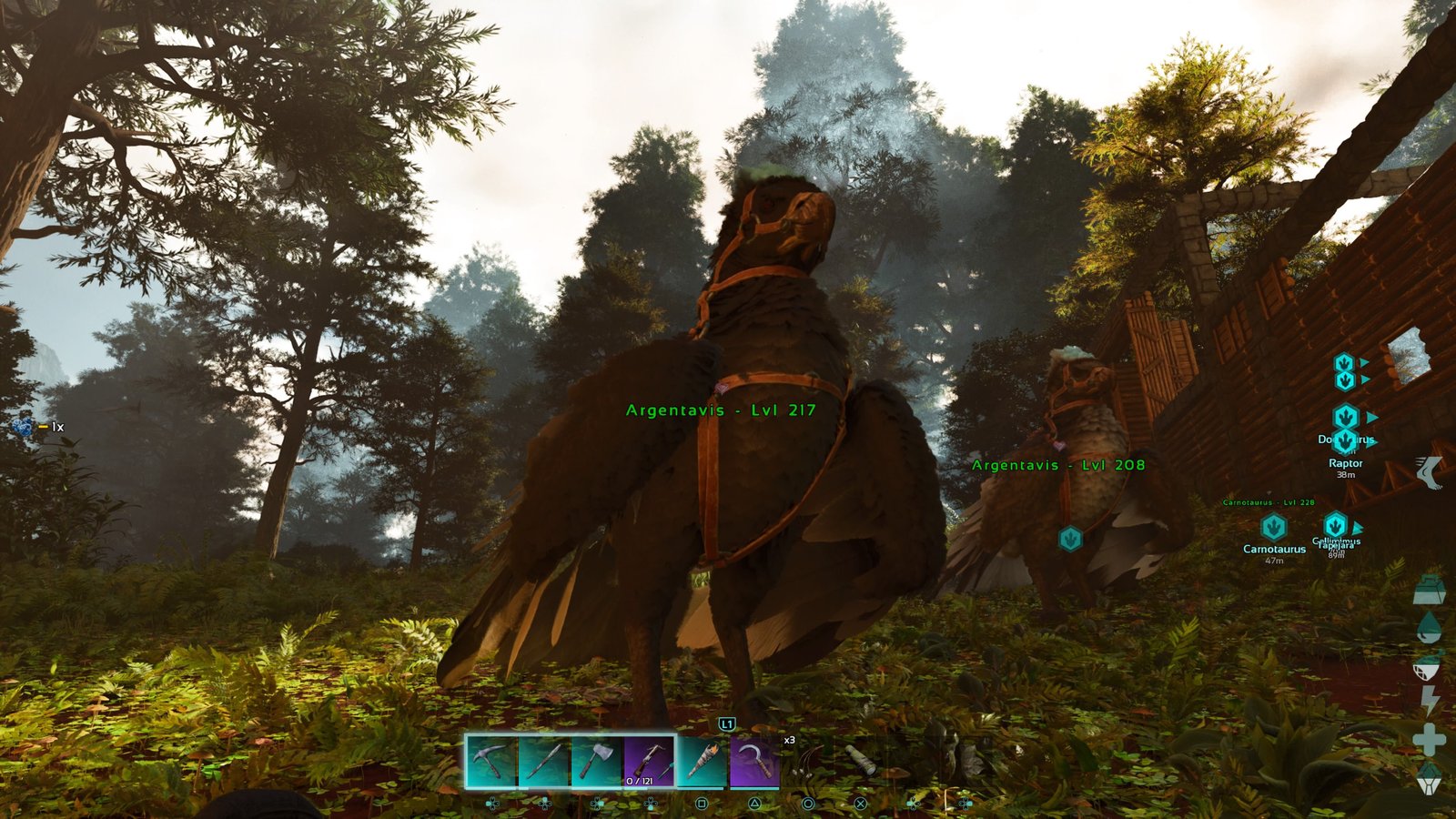 Player character looking up at a tamed Argentavis with black feathers in the Redwood Forest in Ark: Survival Ascended.