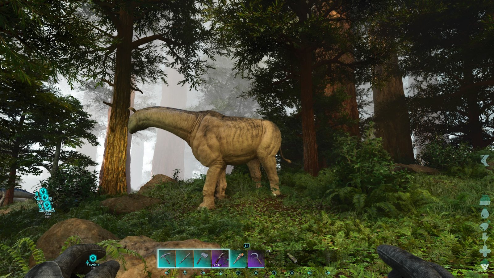 Player character looking at a Paracer wandering through a section of the Redwood Forest in Ark: Survival Ascended.