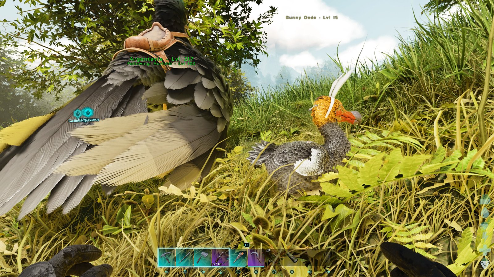 Player character crouched down next to a wild Bunny Dodo walking around near a tamed Argentavis in Ark: Survival Ascended.