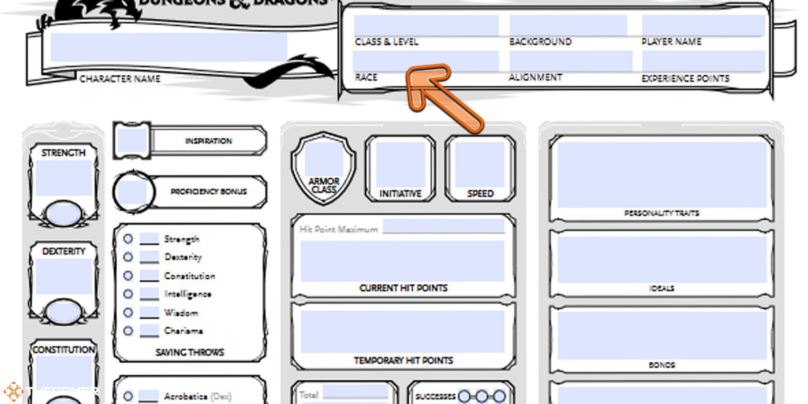 Dungeons and Dragons - character sheet, race