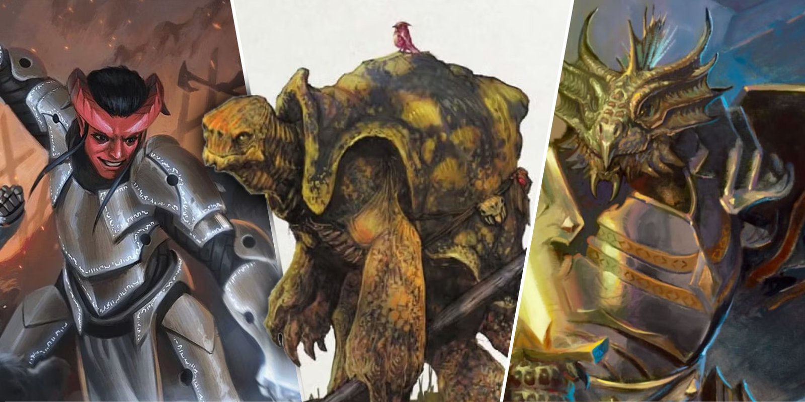 Split D&D image of armored characters