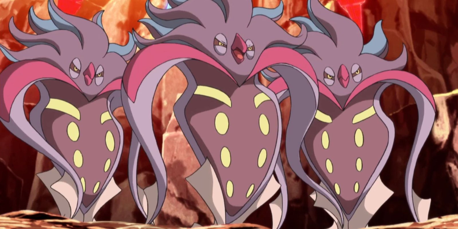 Three Malamar stand together during a sunset