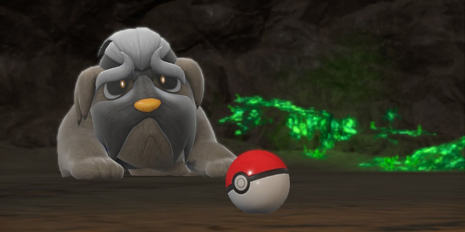 Mabosstiff looks at a Poke Ball as it rolls by it