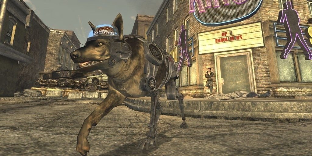 Rex wandering through the strip