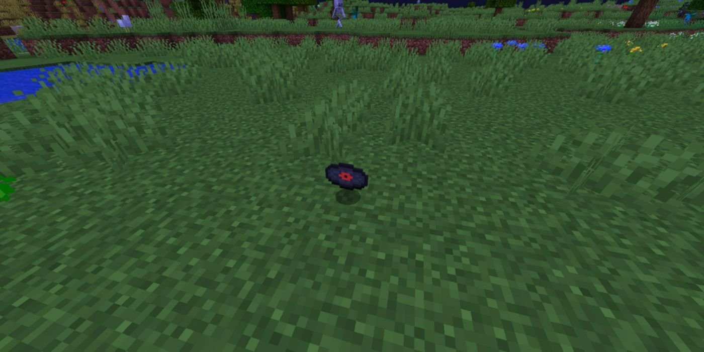 Minecraft Music Disc On Floor
