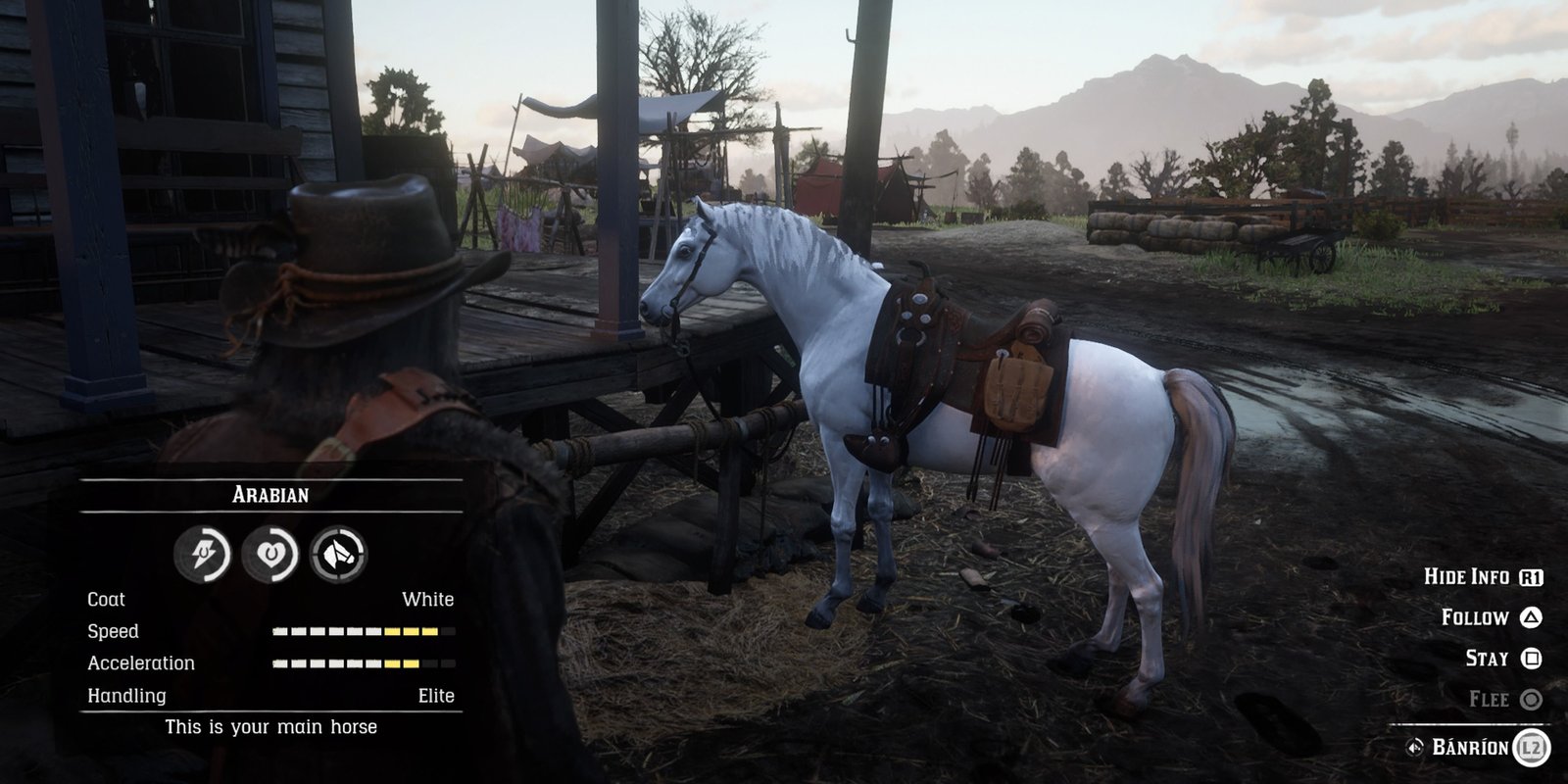 Red Dead Redemption 2 White Arabian horse named Bánríon's Stats being viewed outside Valentine