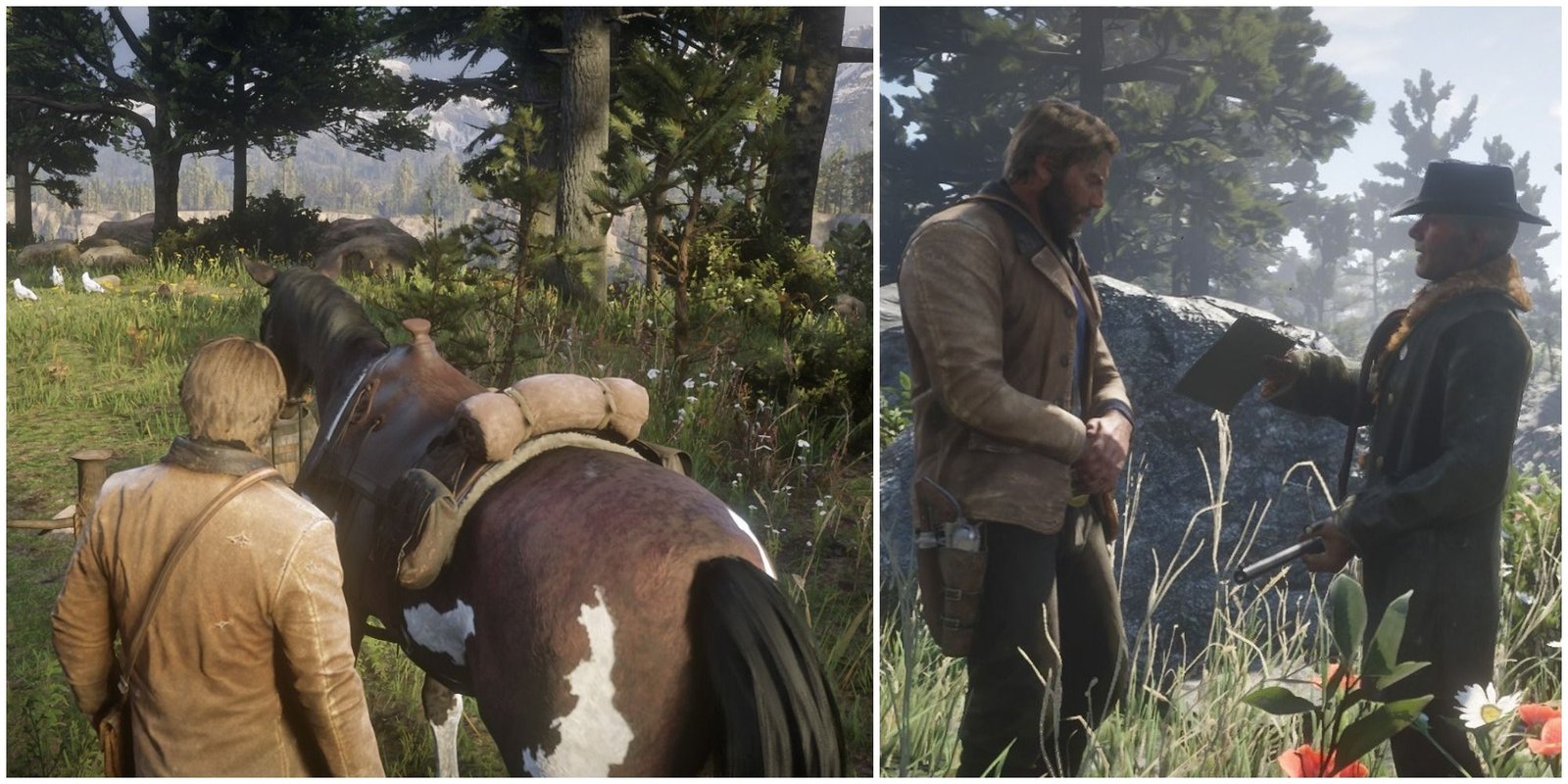 1732194725 317 How To Find And Tame The White Arabian Horse In