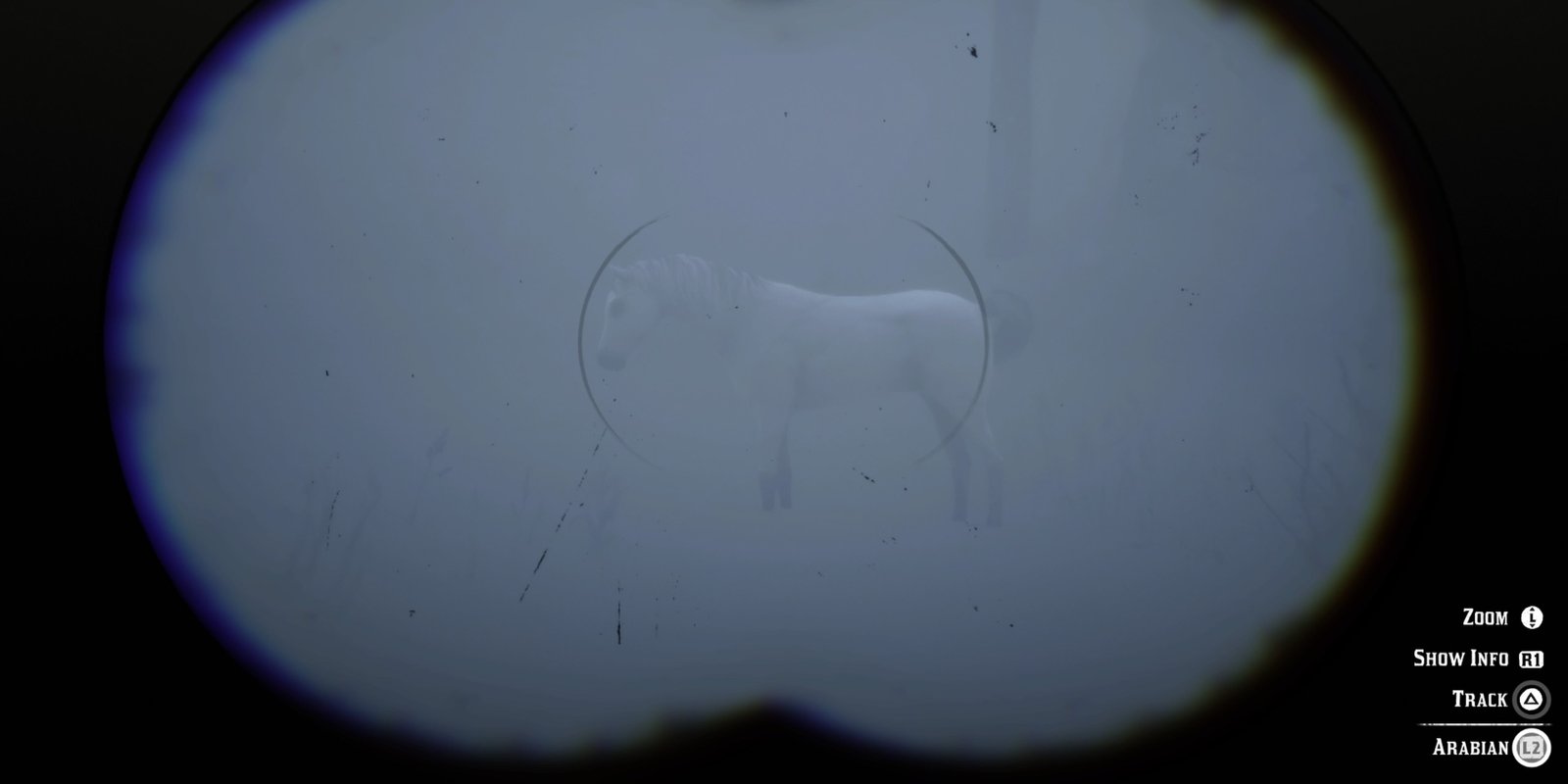 Red Dead Redemption 2 White Arabian Through Binoculars in the middle of a snowstorm