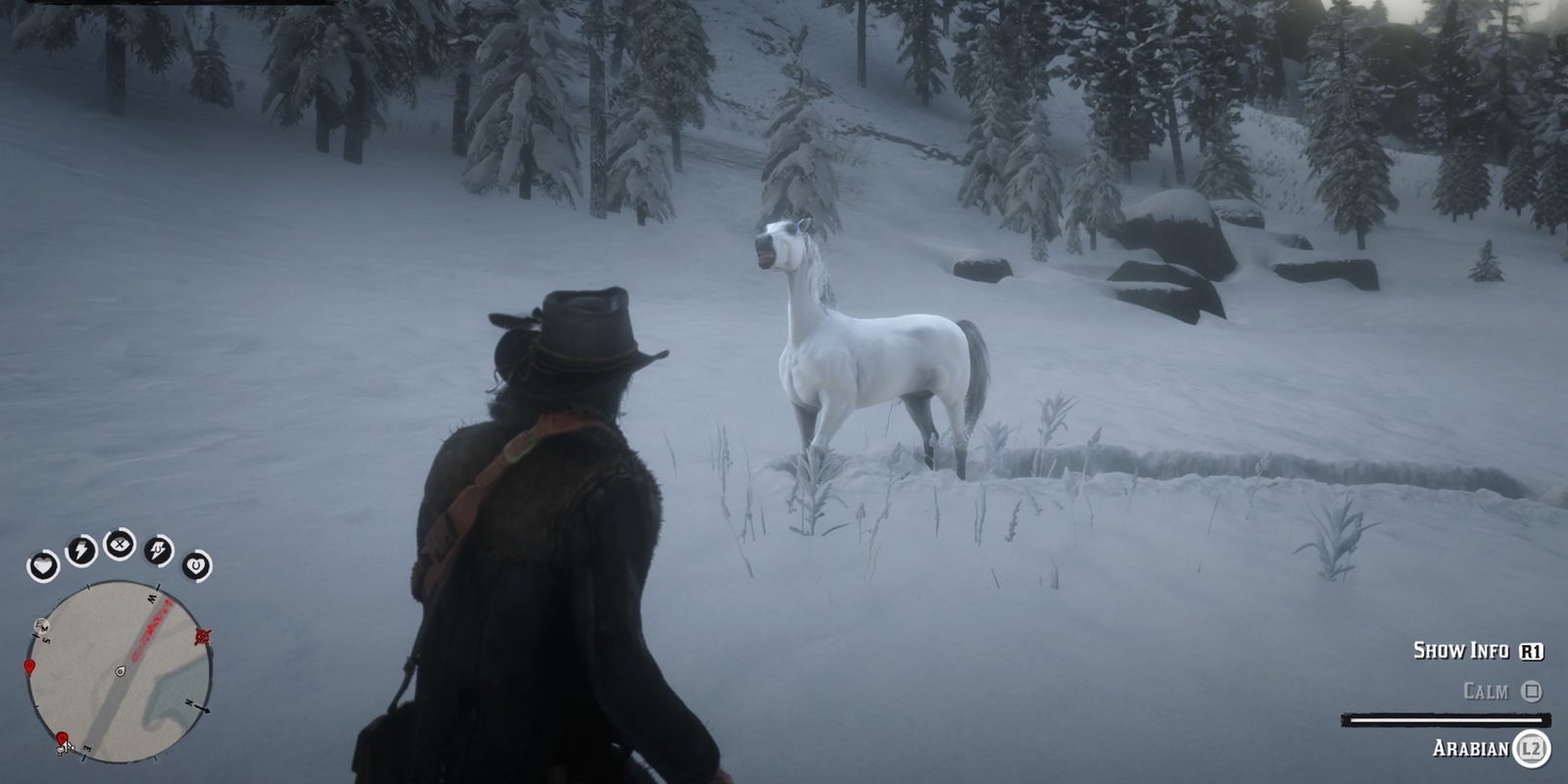 Red Dead Redemption 2 White Arabian Being Calmed Up Close in a snowy field