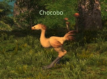 Final Fantasy 14 Island Sanctuary Chocobo