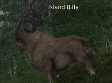 Final Fantasy 14 Island Billy