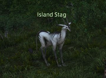 Final Fantasy 14 Island Stag