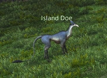 Final Fantasy 14 Island Doe