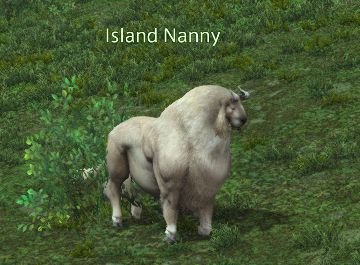 Final Fantasy 14 Island Nanny