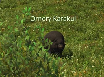 Final Fantasy 14 Ornery Karakul