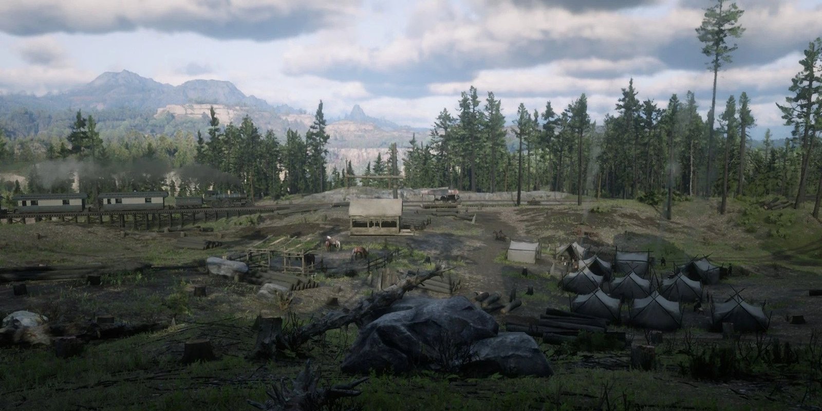 The appleseed timber company with many of the trees already cut down.