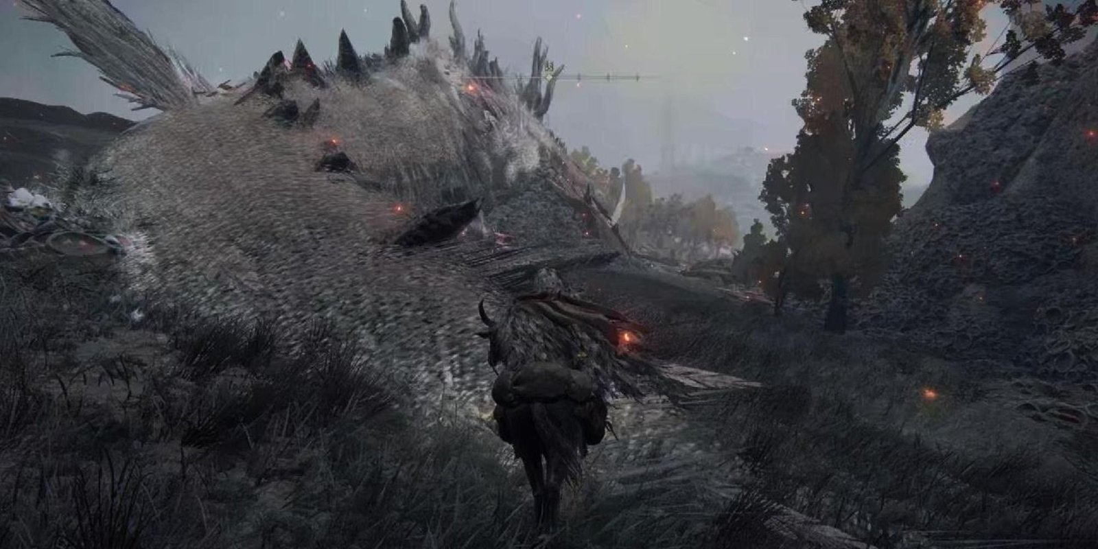 The Tarnished approaches Greyoll in Elden Ring.