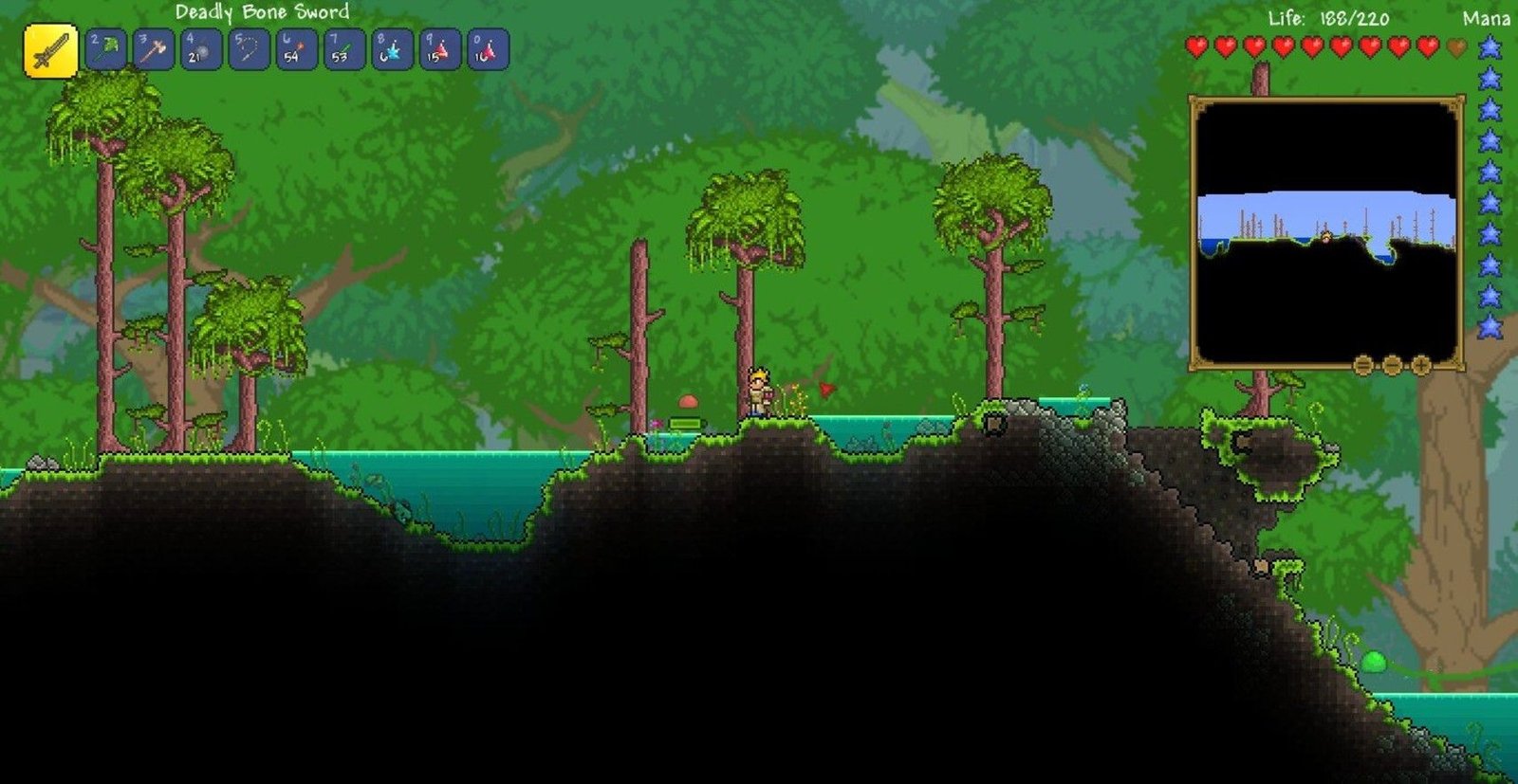 jungle biome in terraria