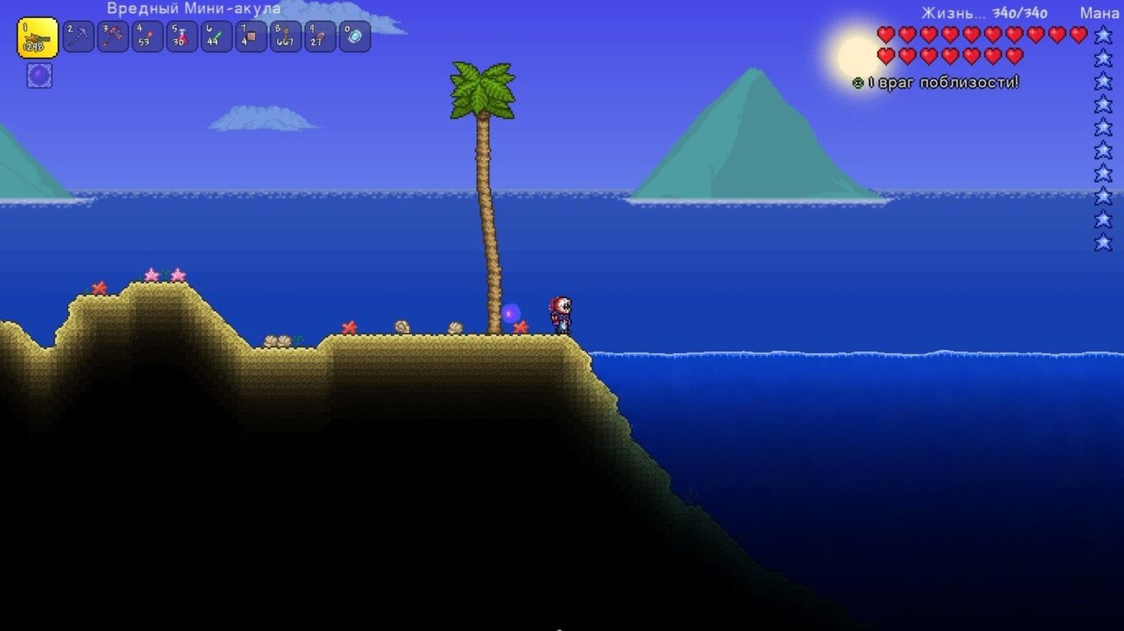 ocean biome in terraria